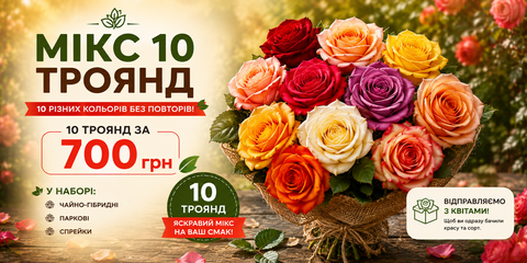 мікс троянд